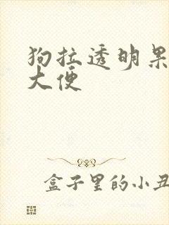 狗拉透明果冻状大便