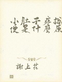 小肚子疼总想大便是什么原因