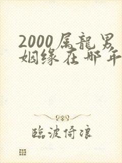 2000属龙男姻缘在哪年