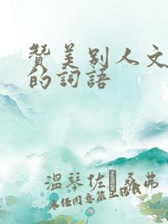 赞美别人文采好的词语