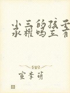 小三的孩子有继承权吗立有遗嘱