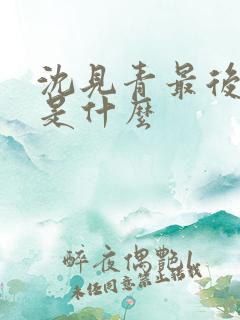 沈见青最后结局是什么