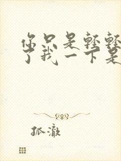 你只是轻轻的爱了我一下是什么歌