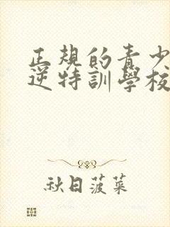 正规的青少年叛逆特训学校