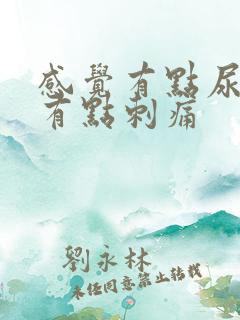 感觉有点尿不尽有点刺痛