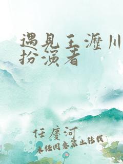 遇见王沥川苏群扮演者