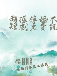 赵振栋婚不容情短剧免费观看全集高清版