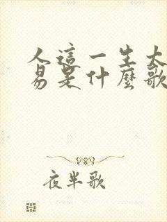 人这一生太不容易是什么歌