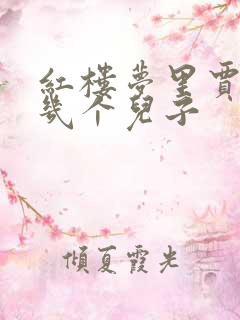 红楼梦里贾母有几个儿子