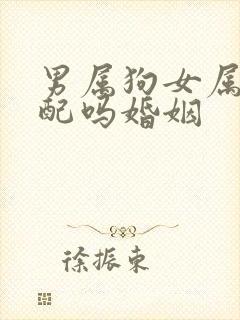 男属狗女属鸡相配吗婚姻