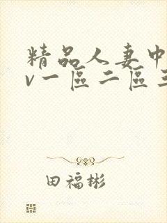 精品人妻中文av一区二区三区