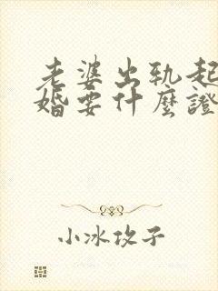 老婆出轨起诉离婚要什么证据