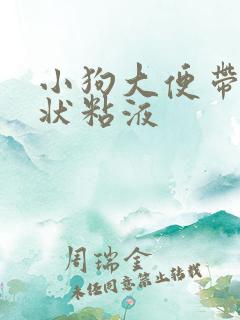 小狗大便带果冻状粘液