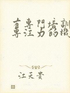 有专门培训儿童专注力的机构吗