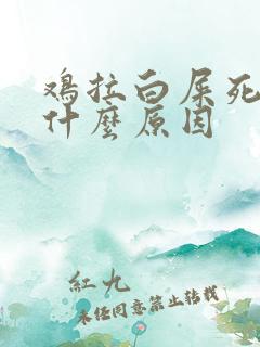 鸡拉白屎死亡是什么原因