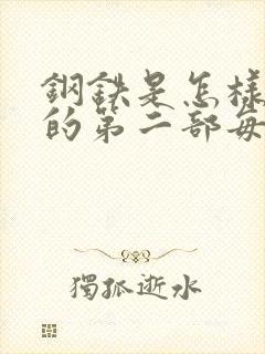 钢铁是怎样炼成的第二部每章好句