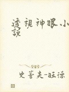 透视神眼小说小说