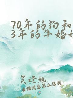 70年的狗和73年的牛婚姻般配吗