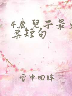 4岁儿子最火文案短句
