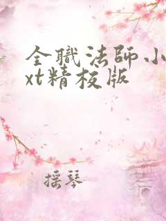 全职法师小说txt精校版