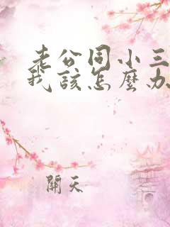 老公同小三同居我该怎么办