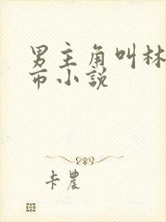 男主角叫林尘都市小说