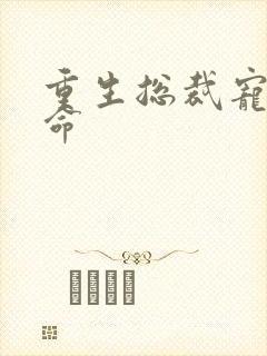 重生总裁宠妻如命