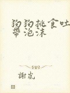 狗狗挑食吐黄水带泡沫