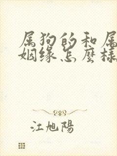 属狗的和属兔的姻缘怎么样