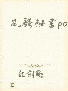 风骚秘书po