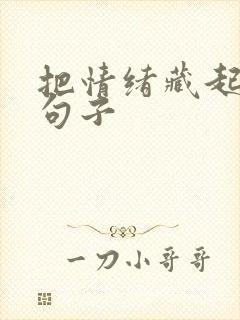 把情绪藏起来的句子