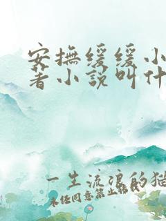 安抚缓缓小说原著小说叫什么名字