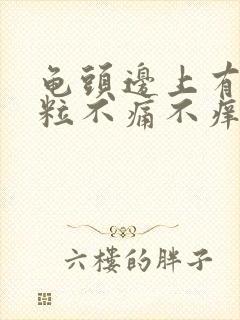 龟头边上有小肉粒不痛不痒