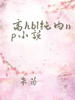 高hbl纯肉np小说