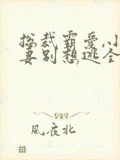 总裁霸爱,小娇妻别想逃全文免费阅读