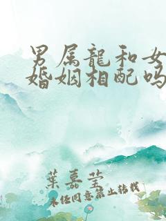 男属龙和女属虎婚姻相配吗