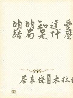 明明知道爱你没结局是什么歌