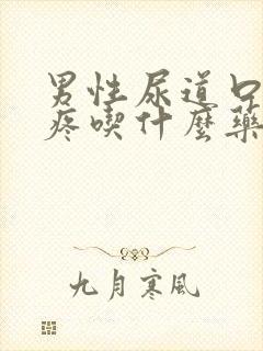 男性尿道口有点疼吃什么药