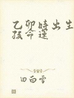 乙卯时出生的男孩命运