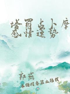 塔罗占卜摩羯座感情运势