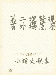 第二次发现老公有外遇怎么办