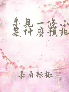 梦见一条小黑蛇是什么预兆 女性