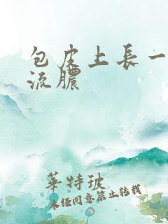 包皮上长一个小流脓