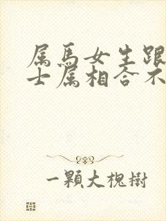 属马女生跟兔男士属相合不合婚姻