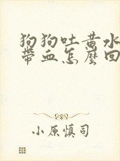 狗狗吐黄水拉稀带血怎么回事