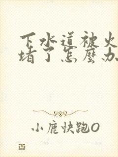 下水道被火锅油堵了怎么办