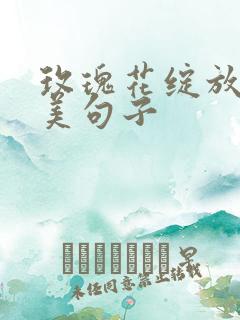 玫瑰花绽放的优美句子