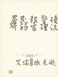 居民报警后派出所的处理流程