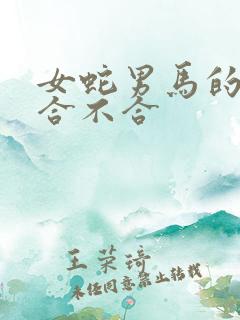 女蛇男马的属相合不合