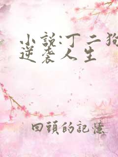 小说:丁二狗的逆袭人生